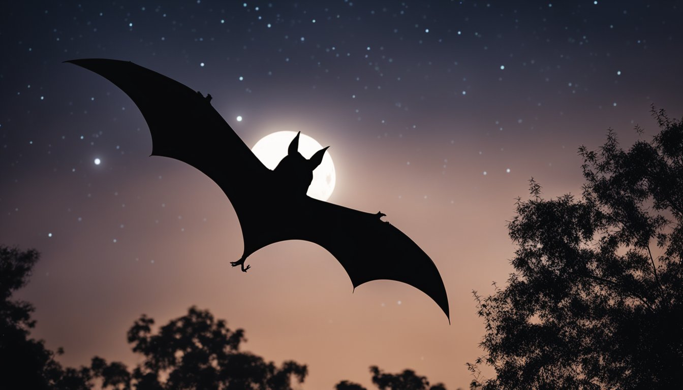 Bat Nights Cool Facts For Curious Kids