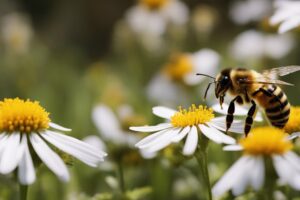 The Bees Knees How Honeybees Create Their Sweet Treasures