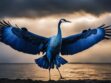 The Electrifying Plumage Of The Electric Blue Crane